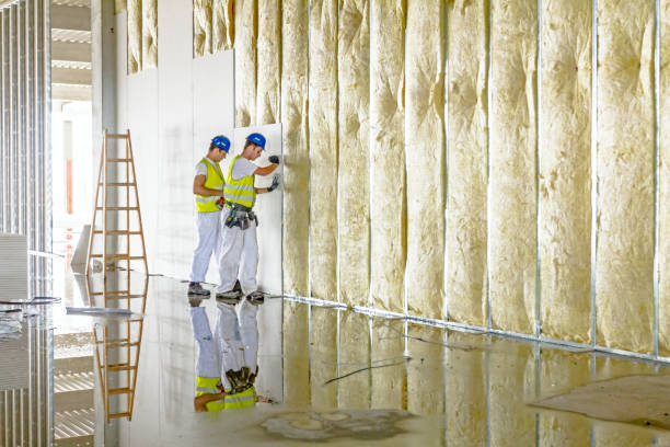 Insulation Repair Services in Abbotsford, WI